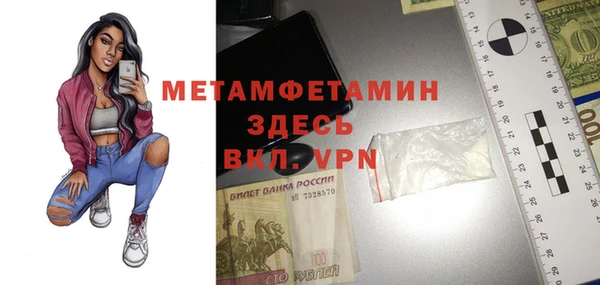 прущие грибы Вязьма