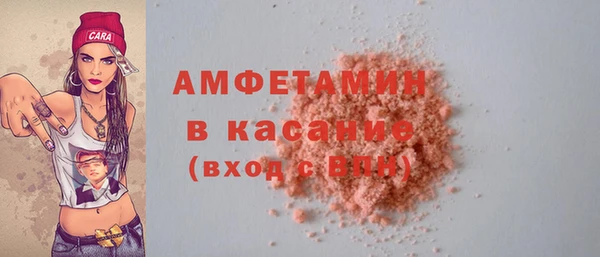 прущие грибы Вязьма