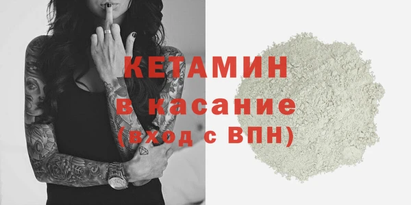 прущие грибы Вязьма