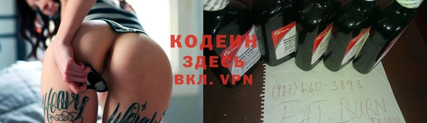 прущие грибы Вязьма