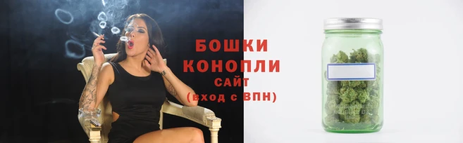 гидра Болохово