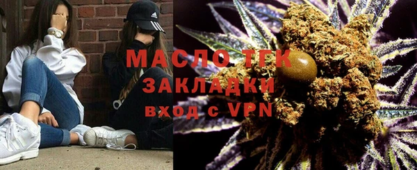 прущие грибы Вязьма