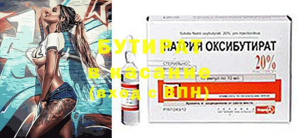 прущие грибы Вязьма