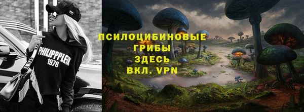 экстази Болотное