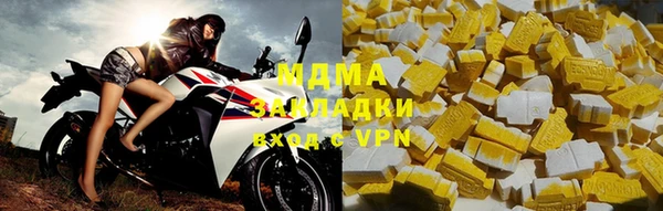 прущие грибы Вязьма