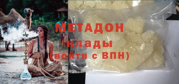 прущие грибы Вязьма