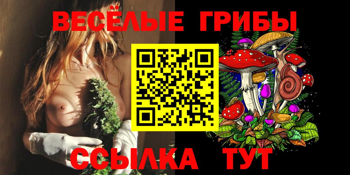 COCAIN  ГАШ  Alpha PVP СОЛЬ   ГАШИШ  Меф   Гурьевск  Сколько стоит  Кодеин  Бошки Шишки  Вход с VPN 